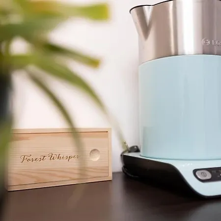 Modern & Cozy Place In The Very Heart Of Apartment