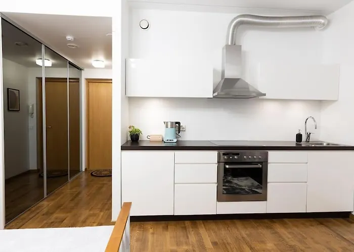 Modern & Cozy Place In The Very Heart Of Apartment *